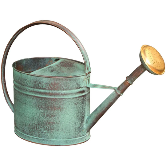Old Green Watering Can With Apple 4 Litres