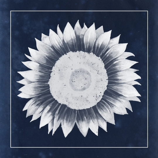 Moon Flower III by Grace Popp - Wrapped Canvas Painting