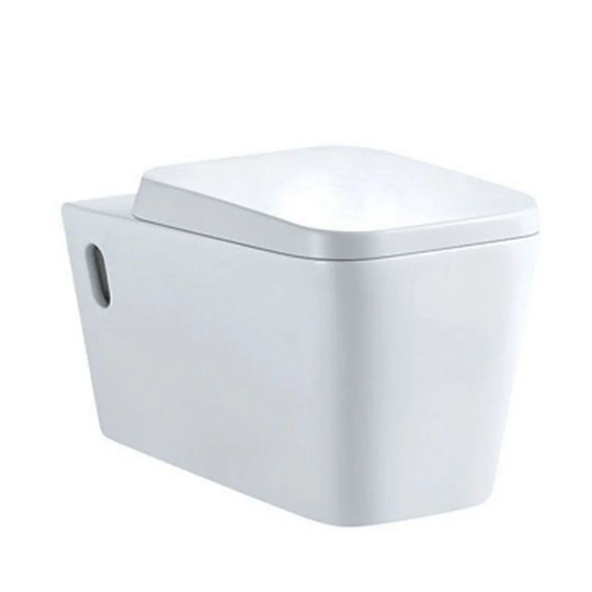 Ewing Wall Hung Toilet with Soft Close Seat