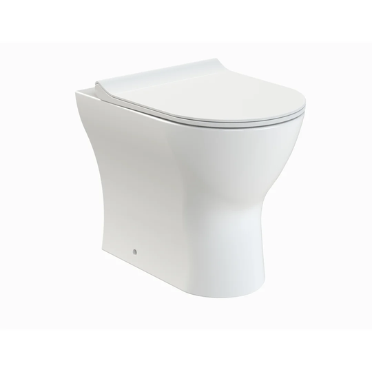 Back to Wall Toilet with Soft Close Seat
