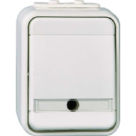 441629 - 3-way switch (alternating switch) 441629