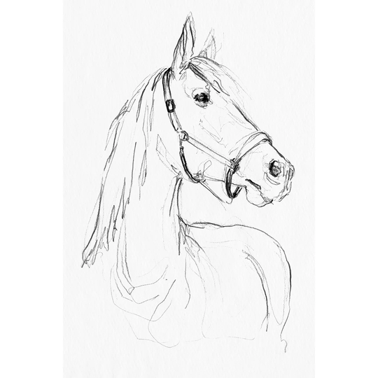 Bridle Portraits II - Wrapped Canvas Painting