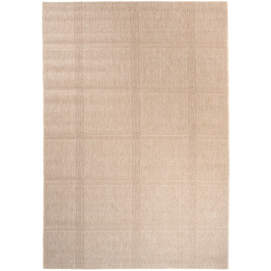 Leadore Indoor/Outdoor Brown Rug
