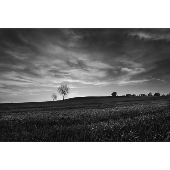 Black & White Sunset by Martin Henson - Wrapped Canvas Art Prints