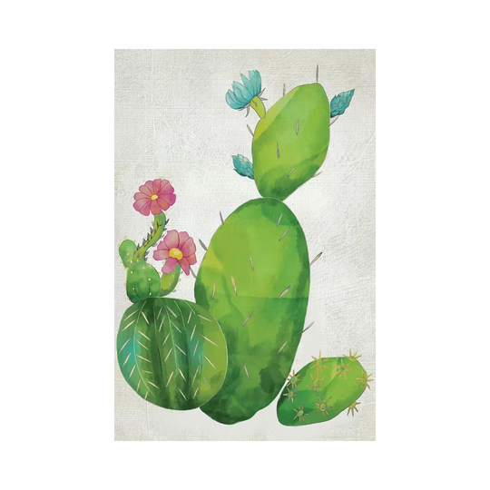 Cacti Collection I by Chariklia Zarris - Wrapped Canvas Art Prints