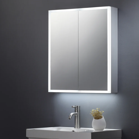 Crites 60cm x 70cm Surface Mount Mirror Cabinet with LED Lighting