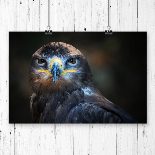 'Eagle Bird' Graphic Art