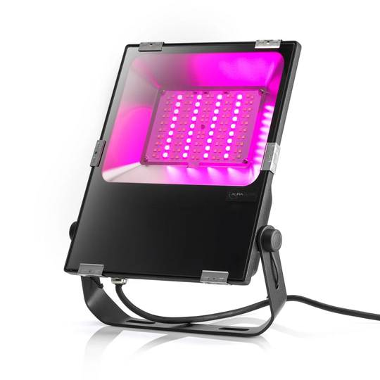 1 Light LED Flood Light (Set of 2)