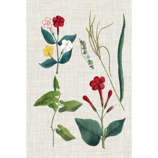 Floral Assemblage III by Vision Studio - Wrapped Canvas Painting