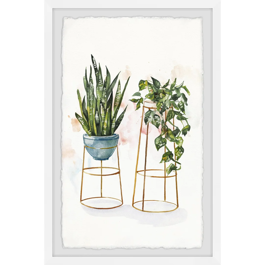 'Hanging Plants Stand II' Framed Painting