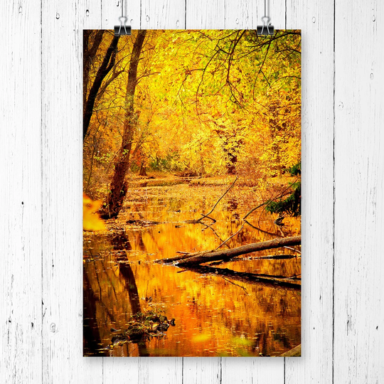 'Autumn Forest with a Pond Landscape' Graphic Art
