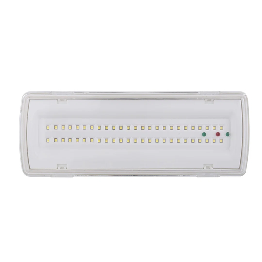 LED Emergency Light, SA + SE, 400 Lumens, Lithium Battery 3 Hours. Indoor Or Outdoor: IP65. Protruding Or Recessed Mounting.
