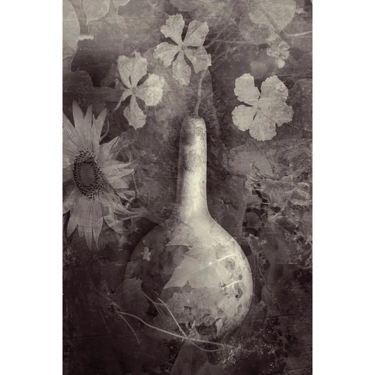 Gourd II - Wrapped Canvas Art Prints
