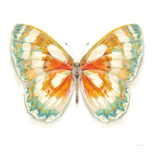 Fragile Wings Butterfly II by Danhui Nai - Wrapped Canvas Painting