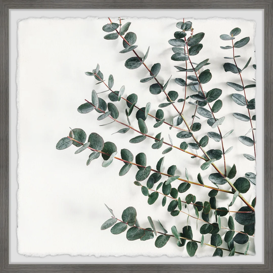'House Plant' Framed Painting Print