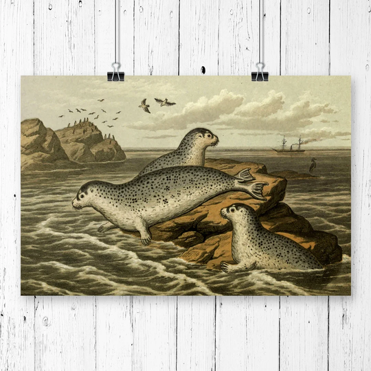 'Vintage M Korner Common Seal' Graphic Art
