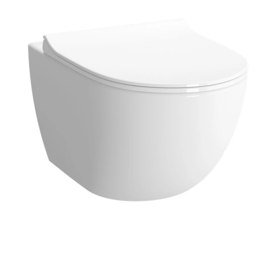 Scoggins Wall Hung Toilet and Mounting Frame with Button Flush and Soft Close Seat