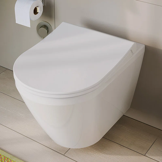 Scotti Wall Hung Toilet and Mounting Frame
