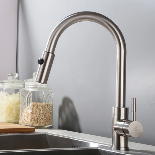 Stainless Steel Kitchen Mixer With Extendable Shower