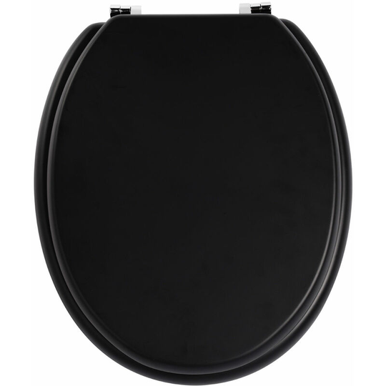 Matt Black Toilet Seat - Premier Housewares