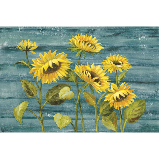Cottage Sunflowers Teal by Silvia Vassileva - Wrapped Canvas Painting