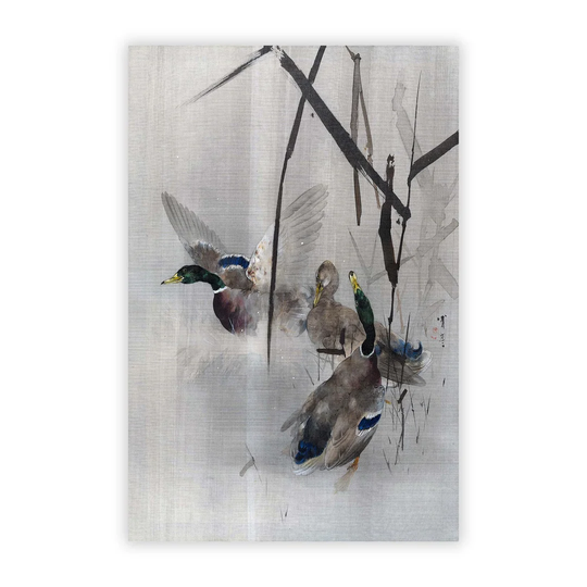 'Ducks in the Rushes' by Watanabe Seitei - Unframed Painting Print on Paper