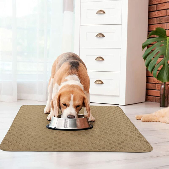 Cat Absorbent Dog Carpet Educator Puppy Washable Pet Training Pad Reusable Waterproof Training Pad and Indoor Exterior Interior Travel, Dark Coffee