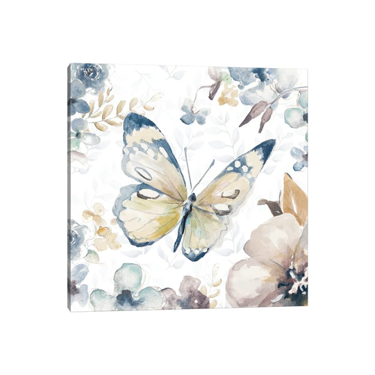 Butterfly Beauty II