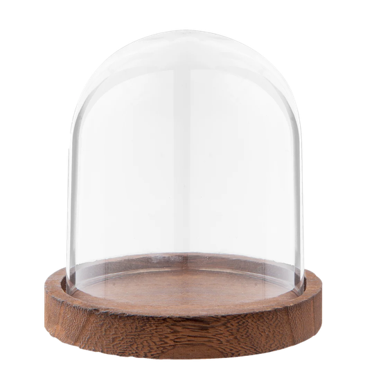 Herman Bell Jar Cloche