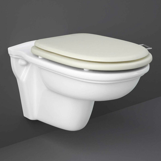 Rak Ceramics - rak Washington Wall Hung Toilet 560mm Projection - Greige Soft Close Wood Seat