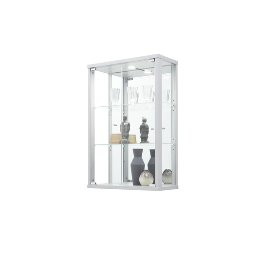 Eustazio Wall Mounted Curio Cabinet with Lighting