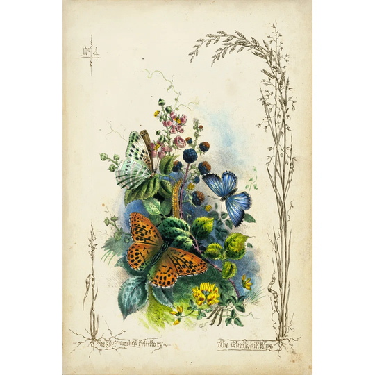 Victor. Butterfly Garden VII - Wrapped Canvas Art Prints