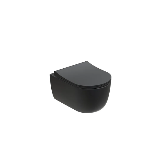 Pinckard Wall Hung Toilet