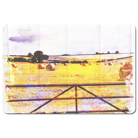 Riceboro 4 Piece Placemat Set