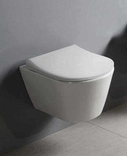 Seales Wall Hung Toilet and Mounting Frame