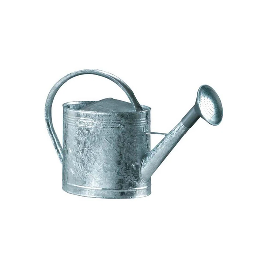 Highsmith Watering Can
