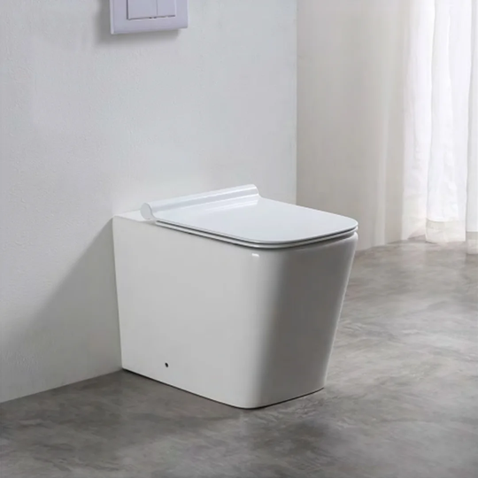 Remaley Back to Wall Toilet with Soft Close Seat