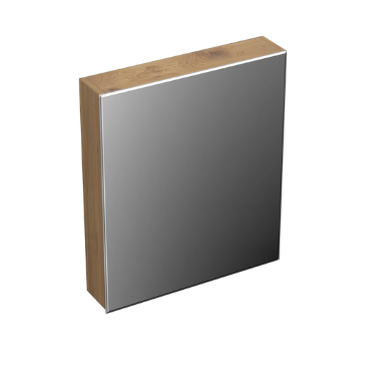 Alpaslan 59.5cm x 125cm Surface Mount Mirror Cabinet