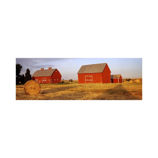 Red Barns In A Farm, Palouse, Whitman County, Washington State, USA