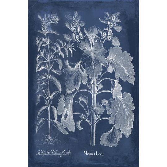 Besler Leaves In Indigo I by Vision Studio - Wrapped Canvas Graphic Art