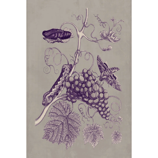Nature Study In Plum & Taupe III - Wrapped Canvas Art Prints