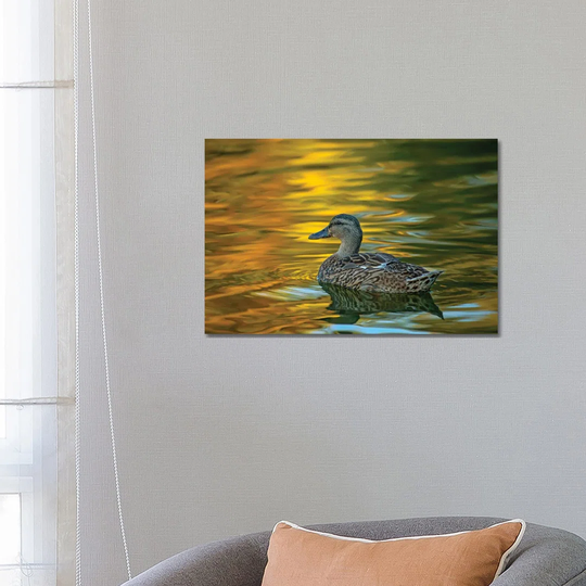 Night Glow On Golden Pond by Louis Ruth - Wrapped Canvas Photograph