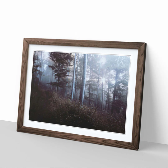 'Landscape Tranquil Forest' Framed Photographic Print