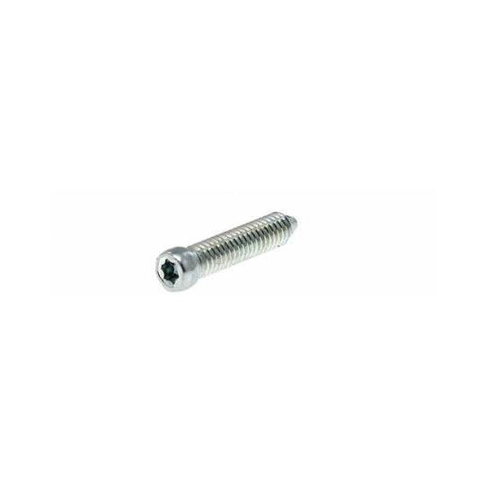 Hotpoint Ariston - Screw M4x20 T10 Torx for Hotpoint Fridges and Freezers