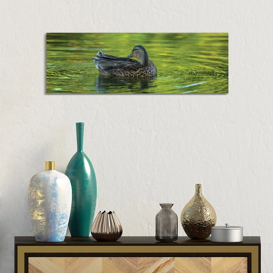 Duck Sublime by Louis Ruth - Wrapped Canvas Panoramic Gallery-Wrapped Canvas Giclée