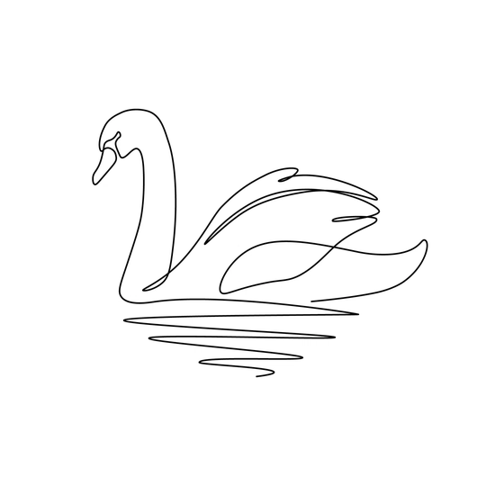 Swan Bird