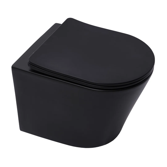 Schmid Wall Hung Toilet with flush