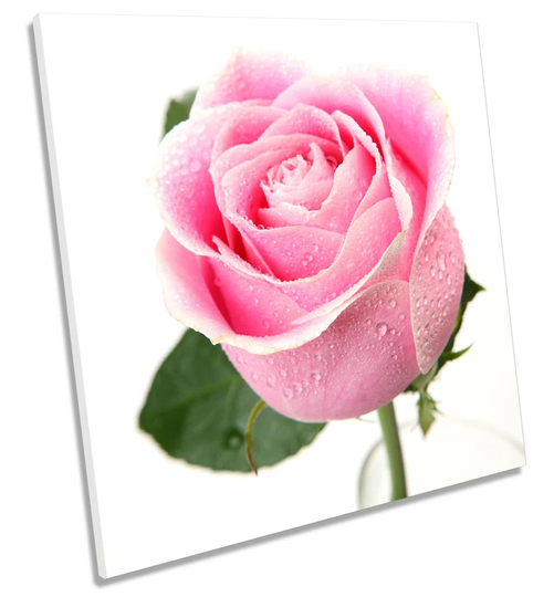 Rose Floral Flower - Wrapped Canvas Photograph