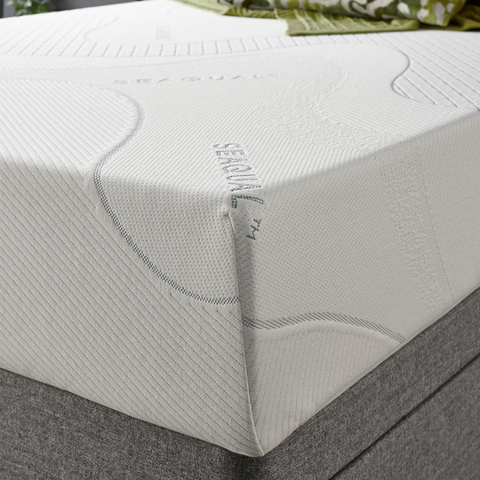 Tevis Dream Foam Mattress