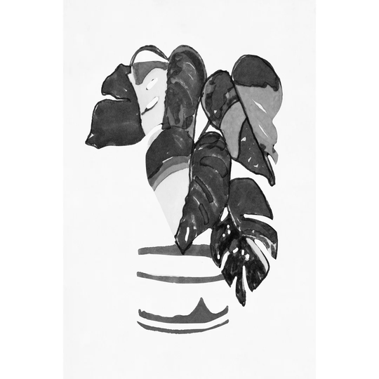B&W Indoor Plant VI by Stellar Design Studio - Wrapped Canvas Painting